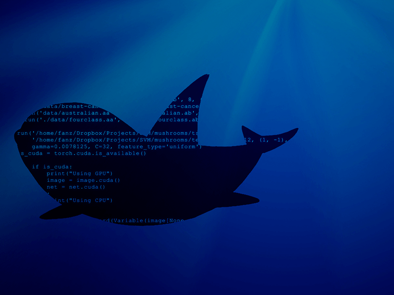 blogmaster_whalingFeatured-Post