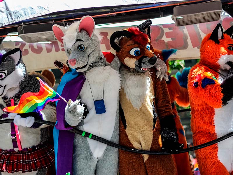 Making a Safe Place for Students Who Identify as Furries, Therians