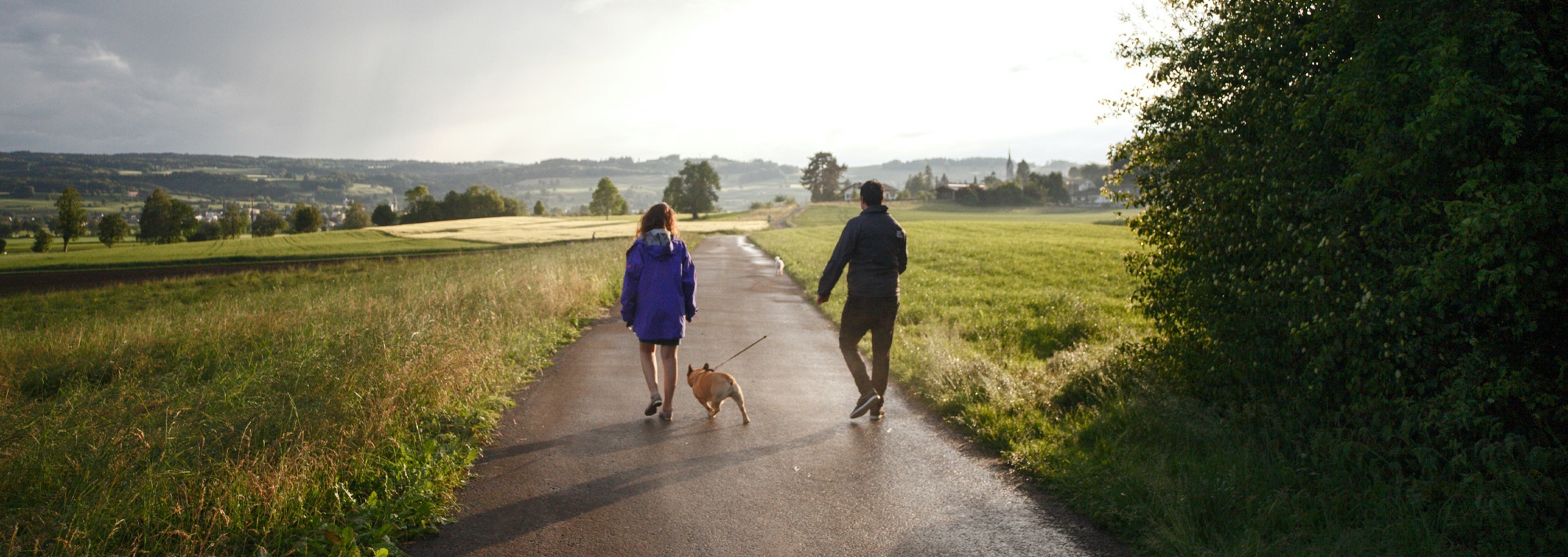 Daily Safeguarding Update